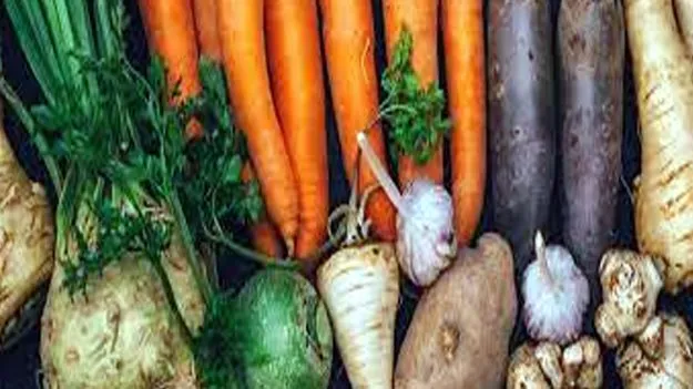 Tuber Farming Plan: దుంప కూరల సాగు పెంపునకు కార్యాచరణ