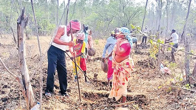 Darla Ramamurthy: ఉపాధి హామీ కూలీగా మాజీ సర్పంచ్‌