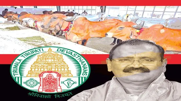 O.V. Ramana Former Member of TTD: ఆవు కతలు ఆపండి భూమనా