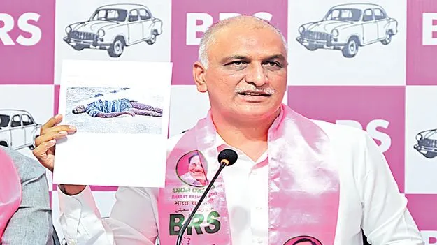 Harish Rao: బీఆర్ఎస్ నాయకత్వ బాధ్యతలు.. కేటీఆర్కు అప్పగిస్తే స్వాగతిస్తా