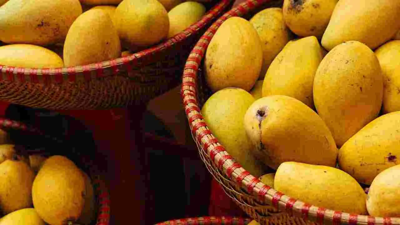 Mango: మామిడి పండు కొనేముందు.. తీయగా ఉందో లేదో ఇలా తెలుసుకోండి..