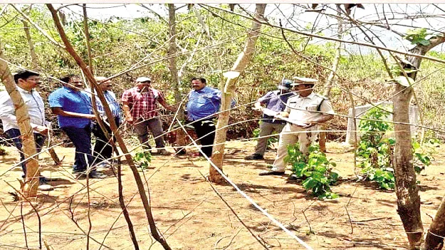 Vigilance inspectionఅటవీ ప్రాంతంలో విజిలెన్స్‌ తనిఖీ