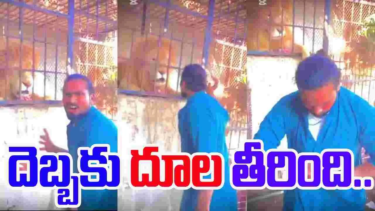 Viral Video: సింహంతోటే ఆటలా దూల తీరిందిగా.. 