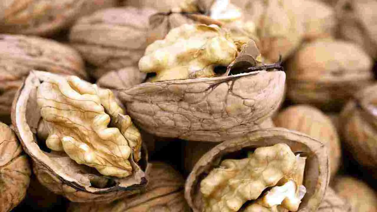 Brain Health: మీ బ్రెయిన్ షార్ప్‌గా మారాలంటే.. ఈ 6 ఆహారాలు తీసుకోండి చాలు.. 