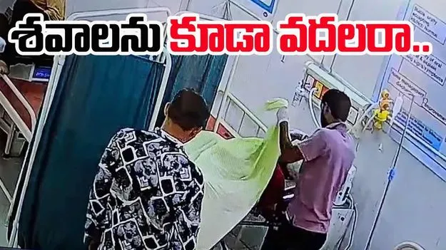 Viral Video: మరీ ఇంత దారుణమా.. శవాలను కూడా వదలరా.. 
