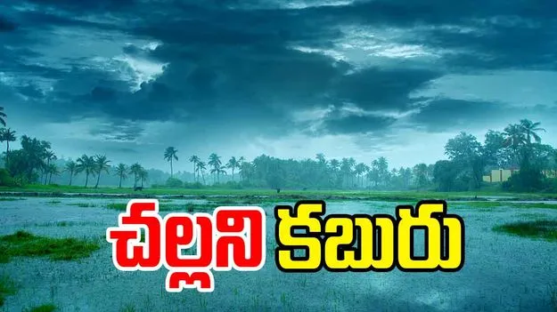 Andhra Pradesh weather: 9 రోజులు ముందుగానే నైరుతి