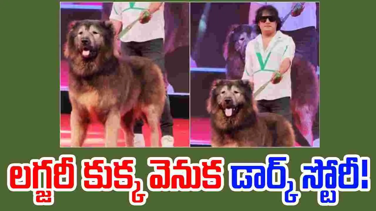 Viral News: కుక్క కోసం రూ.50 కోట్లు.. ఈడీ విచారణలో డాగ్ సతీష్ రహస్యాలు బట్టబయలు