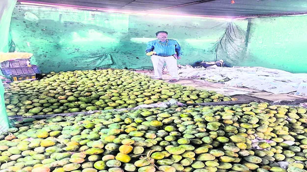 Strict action రసాయనాలు వాడితే కఠిన చర్యలు