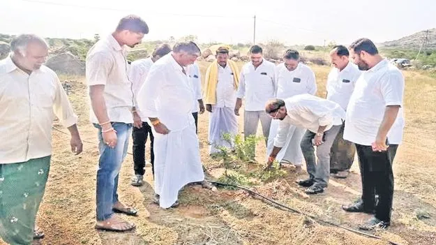 Plant  మొక్కల ధ్వంసం