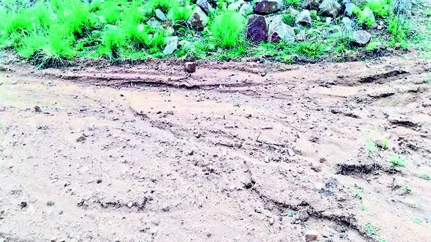  hits crops పంటలకు వర్షం దెబ్బ