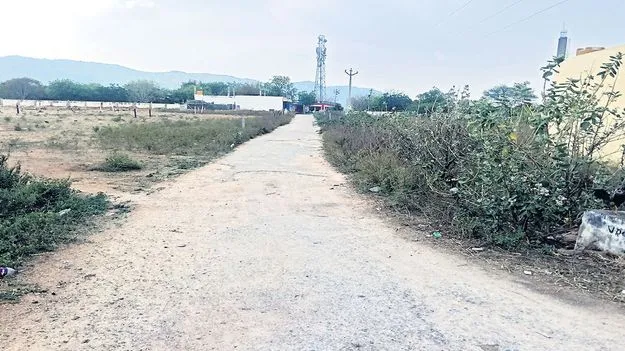 street lights వీధిదీపాలు ఏర్పాటు చేయండి 