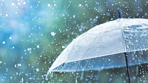 AP Weather: 13న దక్షిణ అండమాన్‌కు నైరుతి