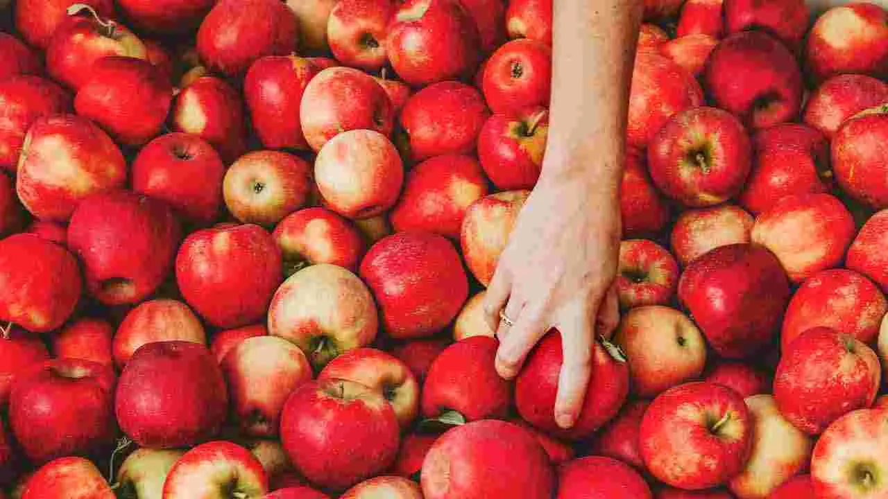 Health Tips: కేన్సర్ ప్రమాదాన్ని తగ్గించే రోజు వారీ 5 ఆహారాలు ఇవే..