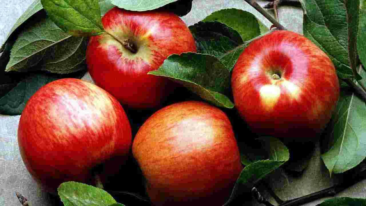 Constipation: మీ ఆహారంలో ఈ 5 పండ్లను చేర్చితే.. మలబద్ధక సమస్యకు చెక్ పడ్డట్లే..