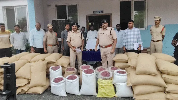 ఆగని నకిలీ పత్తివిత్తనాల దందా