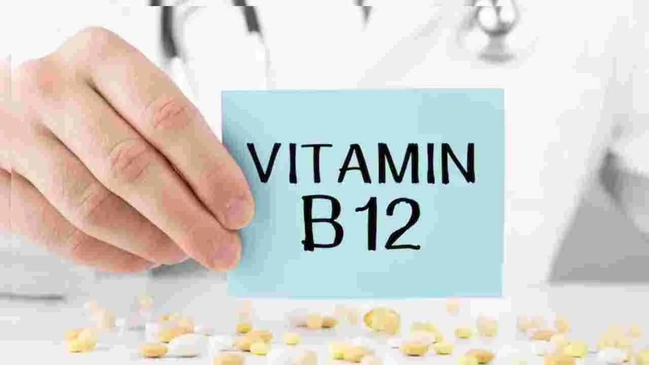 Vitamin B12: విటమిన్ B12 గురించి 99 శాతం మందికి తెలియని వాస్తవాలు.. తెలియకుంటే నష్టపోతారు..