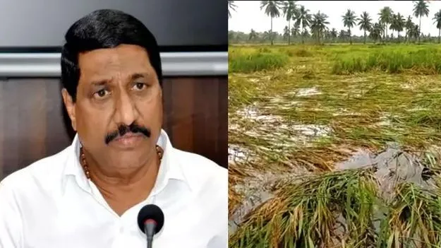 BC Janardhan: పంట నీట మునగడంపై మంత్రి ఆవేదన