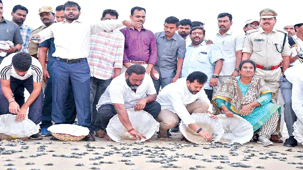 Beach festival: సందడిగా బీచ్‌ ఫెస్టివల్‌