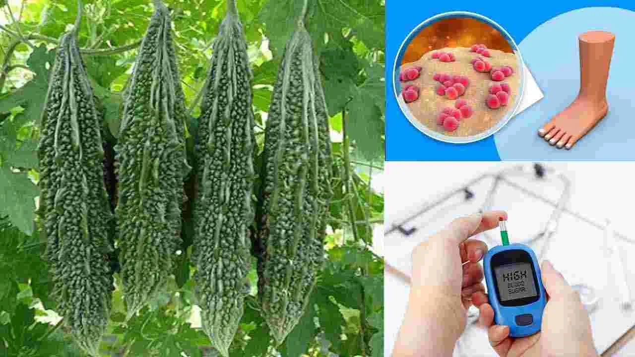 Bitter Gourd: షుగర్ కంట్రోల్ కావాలంటే కాకరకాయ ఇలా తినండి..