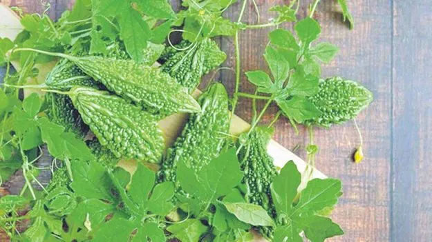 Bitter Gourd: కాకర చేదు తగ్గాలంటే