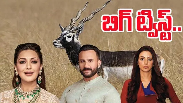Bollywood Stars: కృష్ణ జింక కేసు.. మరోసారి చిక్కుల్లో బాలీవుడ్ స్టార్స్
