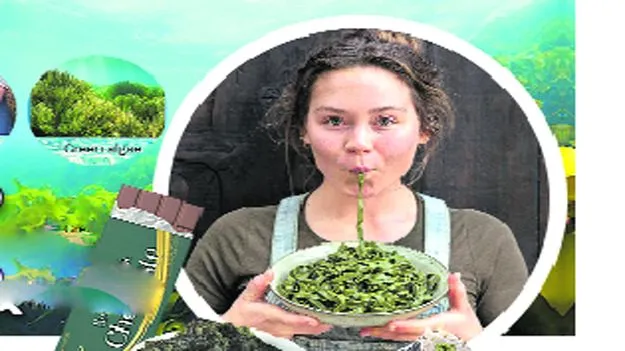 సముద్రపు నాచును తినేస్తున్నారు..