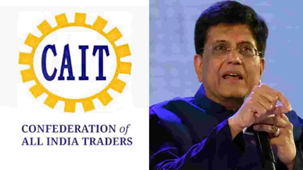 CAIT Letter To Piyush Goyal: ఈ-కామర్స్‌ ఫ్లాట్‌ఫారాలపై పాక్ జెండాలు.. సీఏఐటీ అభ్యంతరం