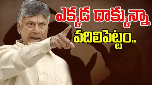 Andhra Pradesh: భూమి మీద ఎక్కడున్నా వాళ్లను వదిలిపెట్ట: సీఎం చంద్రబాబు
