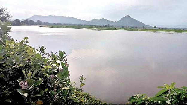 A Golden Era for the Tanks చెరువులకు మహర్దశ