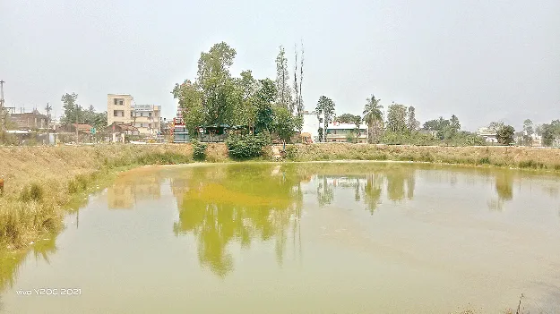 Shrunken... and Lost Its Shape కుదించుకుపోయి.. రూపు కోల్పోయి!