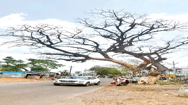 Will you not move until it all collapses?  కూలితే గాని కదలరా?