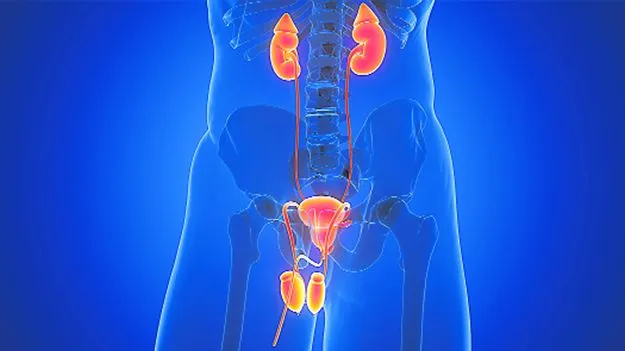 Prostate cancer: చాపకింద నీరులా.. ప్రోస్టేట్‌ క్యాన్సర్‌