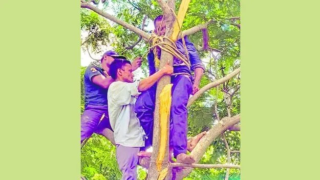 Hyderabad: కొమ్మలు కొడుతుండగా ఫిట్స్‌..