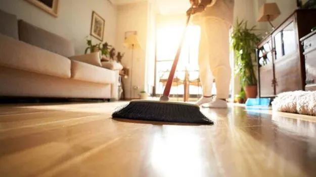 Cleaning Tips: ఇల్లు శుభ్రం చేసేటప్పుడు.. జస్ట్ ఇలా చేయండి..   