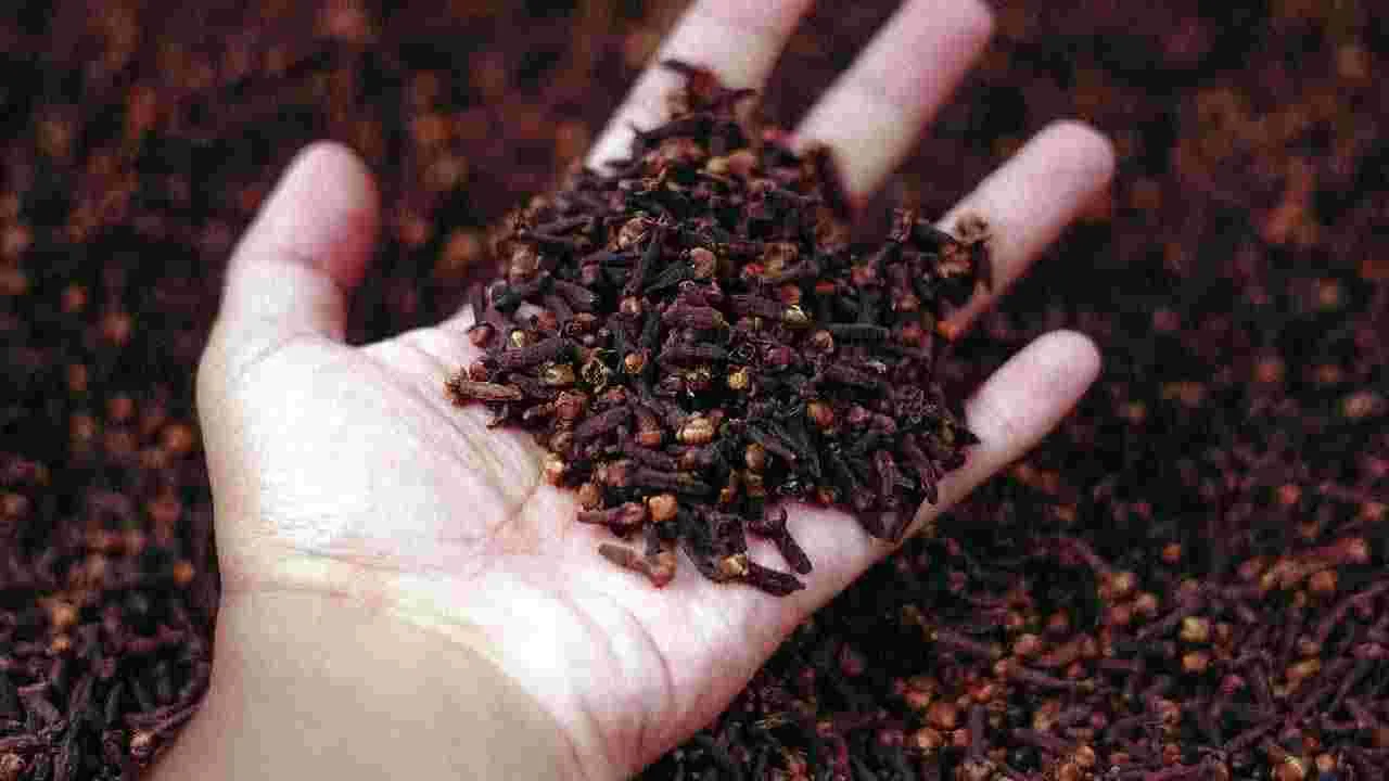 Cloves: వేసవిలో లవంగాలు తినడం వల్ల ఎన్ని లాభాలున్నాయో తెలుసా.. 