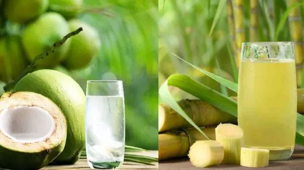 Coconut Water Vs Sugarcane Juice: కొబ్బరి నీళ్లా.. చెరుకు రసమా.. హెల్త్కు ఏది బెస్ట్