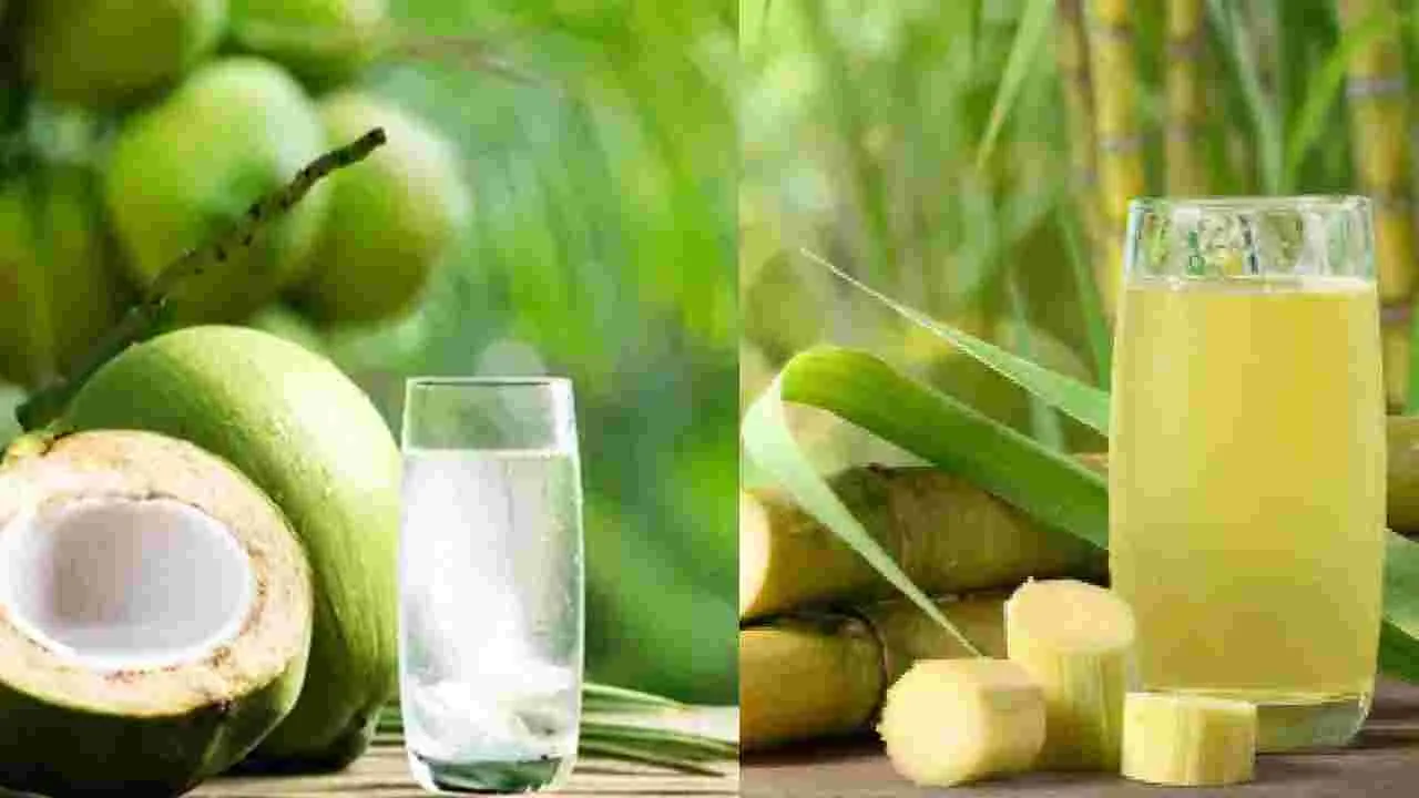 Coconut Water Vs Sugarcane Juice: కొబ్బరి నీళ్లా.. చెరుకు రసమా.. హెల్త్‌కు ఏది బెస్ట్