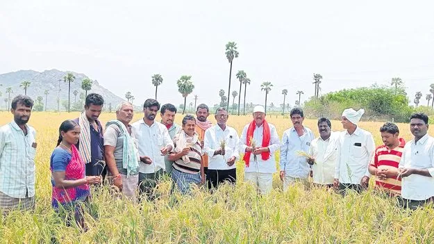 పంట నష్టపోయిన రైతులను ఆదుకోవాలి