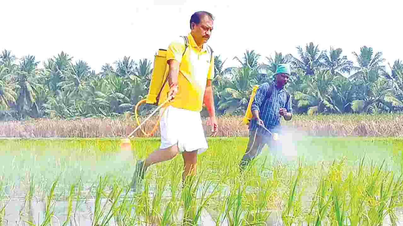 Minister Agricultural Success: ఆదర్శ రైతు మంత్రి నిమ్మల