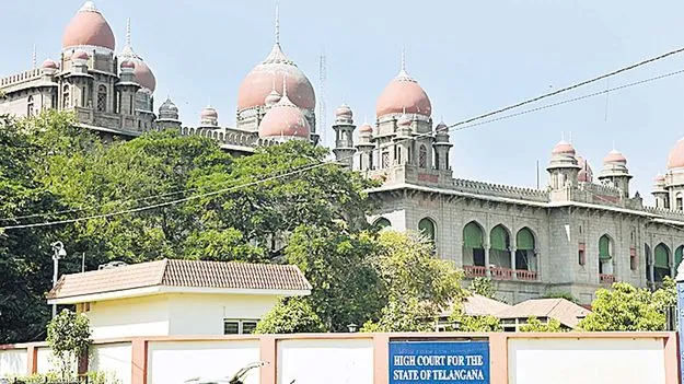 High Court Support: గర్భిణికి హైకోర్టు అండ