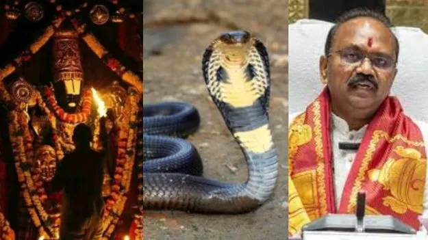 TTD Snake Scare: టీటీడీ ఈవో బంగ్లాలోకి పాము
