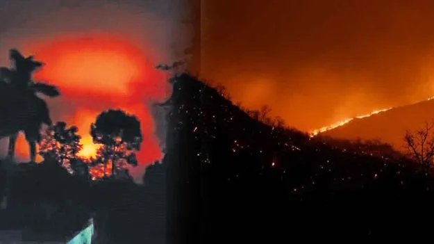 Tirumala: శేషాచల అడవుల్లో అగ్నిప్రమాదం