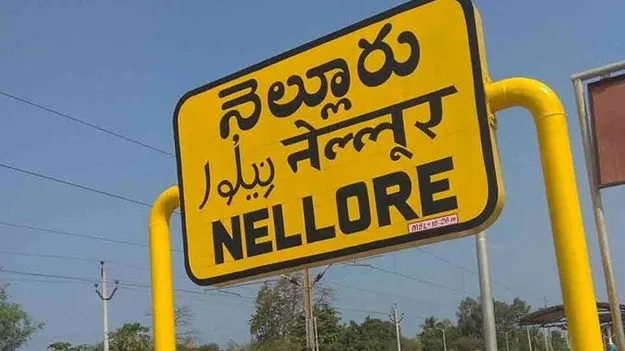 Nellore: నెల్లూరు జిల్లాలో రెండు ప్రమాదాల్లో 65 మందికి గాయాలు