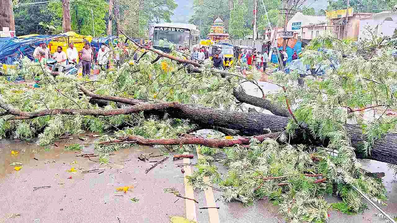 Andhra Pradesh weather: ఎండ వాన