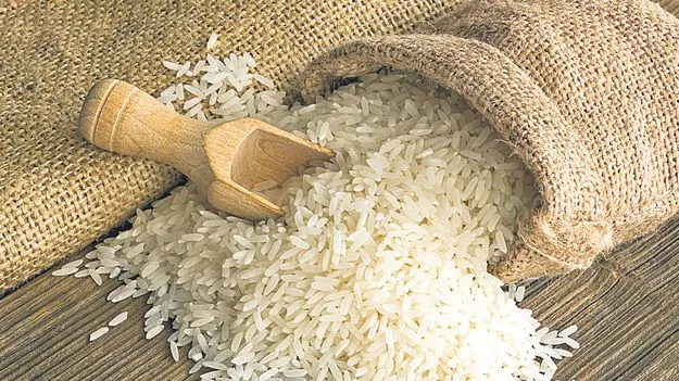 Fine Rice Scam: సన్న బియ్యం కొంటాం