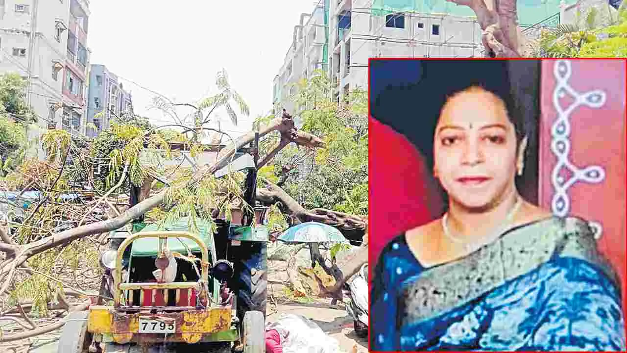 Vishakhapatnam: చెట్టు రూపంలో మృత్యువు