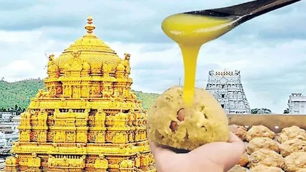 Nellore Court: నెయ్యి కల్తీ కేసులో ఏ12 బెయిల్‌ పిటిషన్‌ తిరస్కరణ