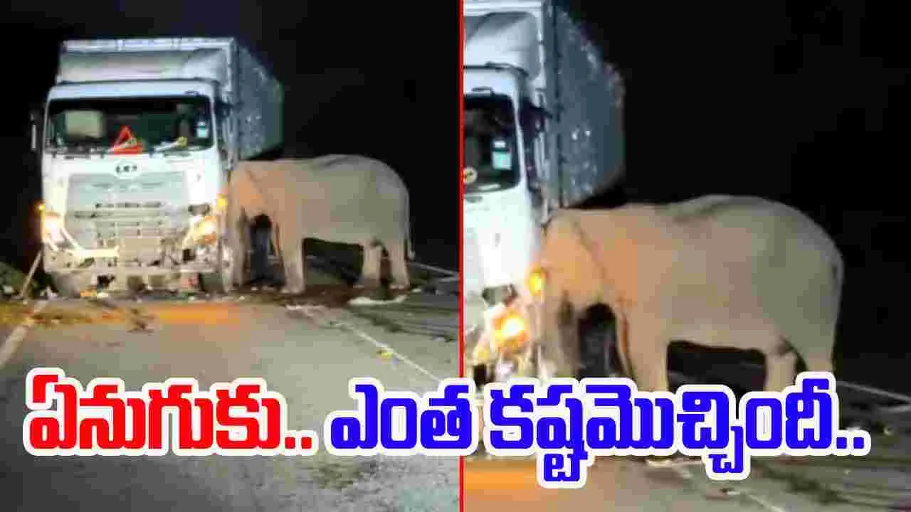 Elephant Sad Video: అయ్యో.. ఈ ఏనుగుకు ఎంత కష్టమొచ్చిందీ.. రోడ్డుపై ట్రక్కు వద్ద ఏం చేస్తుందో చూస్తే.. 