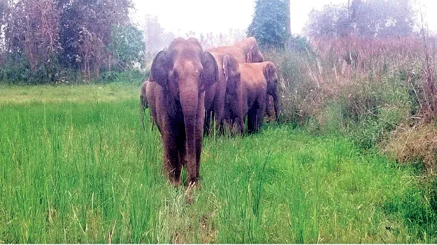  Thotapalli to Santoshapuram తోటపల్లి నుంచి సంతోషపురం