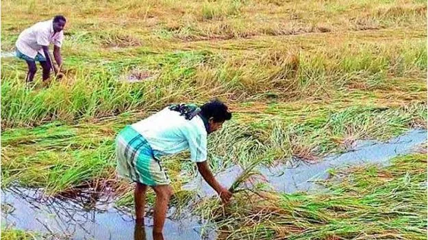 త్రిసభ్య కమిటీల్లో చోటుపై ఆశల చిగురింత